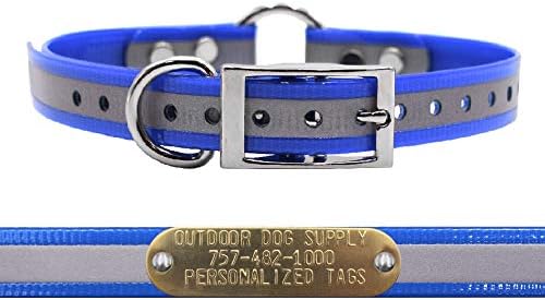 Reflective Waterproof D & Center Ring Dog Collar w Custom Name Tag, Pink