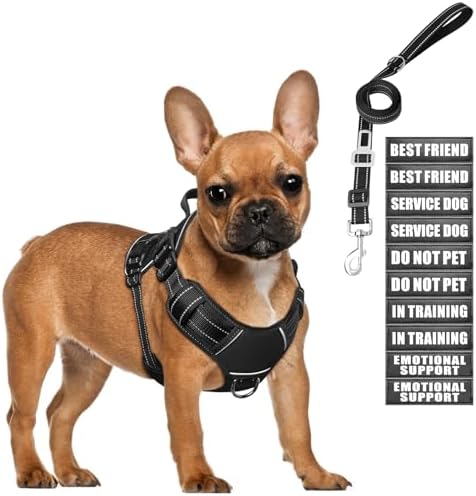 Tactical Dog Harness and Leash Set Small Sized Dog+10 Dog Patches