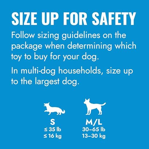 KONG Puppy Tires, Natural Rubber Teething Toy, Medium/Large Puppies, Blue