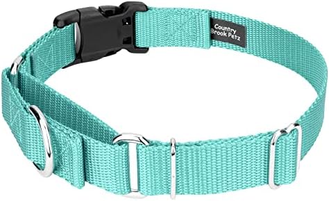 Martingale Dog Collar - Heavy Duty Nylon Adjustable Martingale Dog Collar with Plastic Buckle for Small Medium Large Breeds - 30+ Colors (3/4 Inch, Small, Light Cyan)
