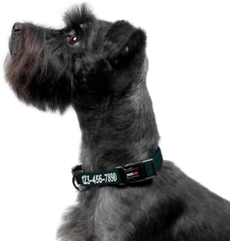 Dogline Dark Teal Customizable Personalized Nylon Collar (W: 3/4" L: 13"-20")