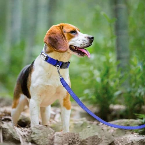 Joytale Personalized Dog Collar with Name Plate Built-in for Medium Dogs