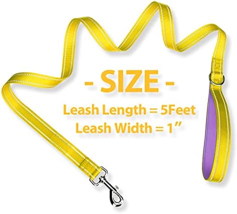 PHOEPET 5 Feet Dog Leash - Dual-Side Reflective - Soft Padded Handle
