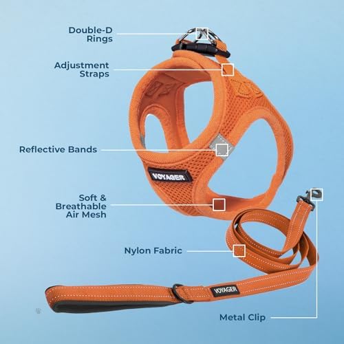 Best Pet Supplies Voyager Step-in Air All Weather Mesh Harness and Reflective Dog 5ft Leash Combo with Neoprene Handle, for Small, Medium and Large Breed Puppies - Orange, X-Small