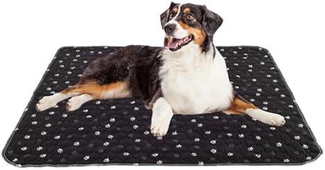 Washable Pee Pads for Dogs - 2-Pack 36” x 41” Reusable Puppy Pads for Dog Potty Training, Whelping, or Crate - Grooming Glove Included - Ultra-Absorbent and Leak-Resistant Dog Pads by PETMAKER (Black)