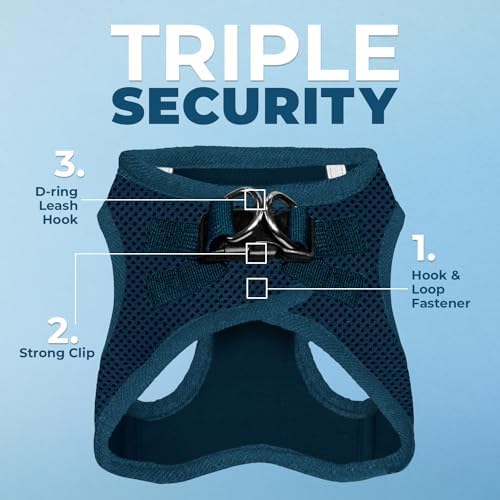 Best Pet Supplies Voyager Step-in Air All Weather Mesh Harness and Reflective Dog 5ft Leash Combo with Neoprene Handle, for Small, Medium and Large Breed Puppies - Blue, Medium