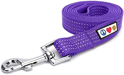 Pawtitas Purple Dog Leash 6 ft XS/S Reflective Durable Lightweight Dog Lead for Small Dogs and Puppies