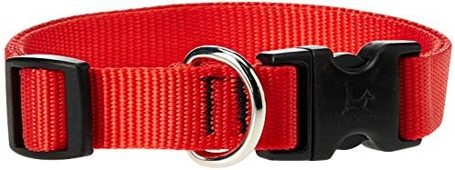 LupinePet Basics 3/4" Red 13-22" Adjustable Collar for Medium and Larger Dogs