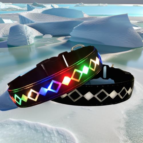 Personalized Flashing Dog Collar with Laser Engraved ID Tag
