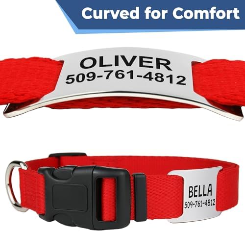 GoTags Dog Collar with Personalized Nameplate, Adjustable Dog Collar with Custom Engraved Slide On Pet ID Tag in Stainless Steel, Silent, No Noise Dog Tag Small to Large Unique Colors