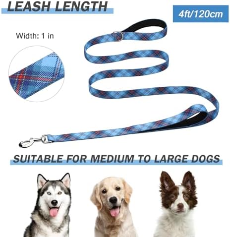 Hikiko 4FT Dog Leash Padded Double Handle with Designed Pattern