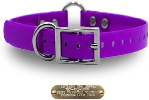 Heavy Duty Waterproof D & Center Ring Dog Collar w Custom Name Tag, Purple