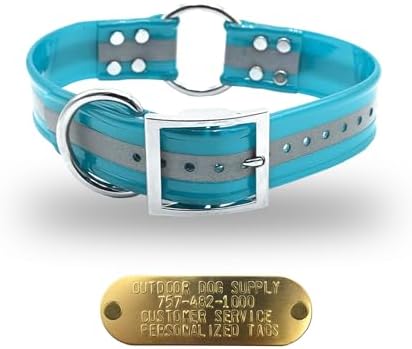 Reflective D & Center Ring 1.5" Dog Collar w Custom Nametag, Teal