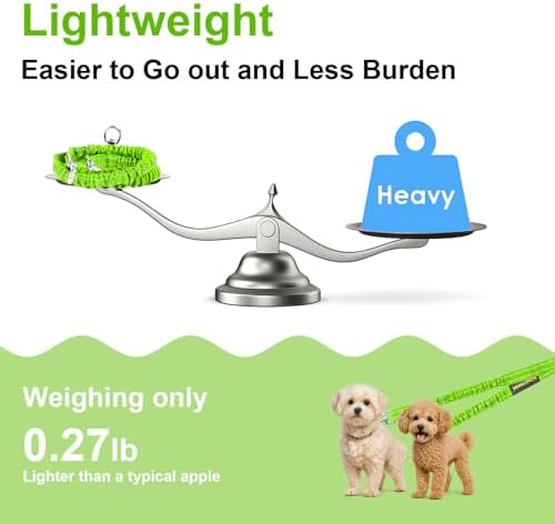 MingXpet 2 Dog Leash, Dog Leash for 2 Dogs, 360° Swivel No Tangle Double Walking Training Leashes for Large Dogs that Pull, Comfortable Shock Absorbing Reflective Bungee, Green
