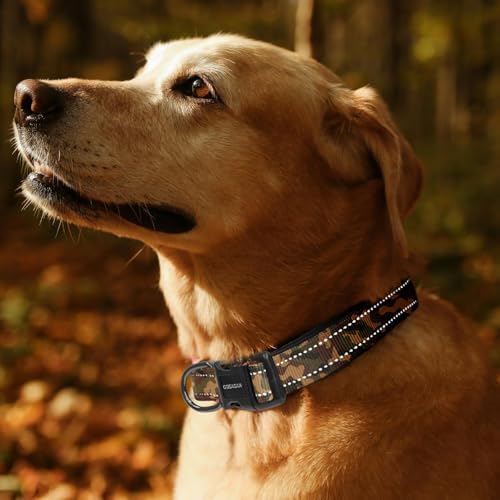 Kazazoo Medium Dog Collar, Reflective Nylon Collar,No Pull,Soft Neoprene Breathable & Quick Release Buckle Dog Collars for Bulldog,Husky,Border Collie camo-M