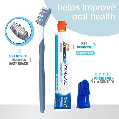 Nylabone Advanced Oral Care Dog Dental Kit Original Flavor 2.5 oz.