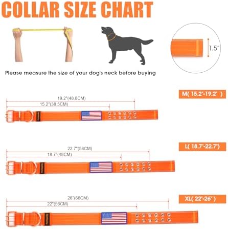 Heavy Duty Dog Collar for Medium Large Dogs, Orange, Large