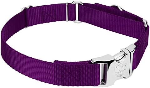 Country Brook Petz - Martingale Dog Collar - Heavy Duty Nylon Adjustable Martingale Dog Collar with Metal Buckle for Small Medium Large Breeds 30+ Color Options (1 Inch, Extra Large, Purple)