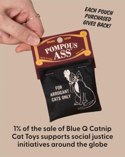 Blue Q Catnip - Cute Cat Toys for Biting with Funny Graphics - Pompous.