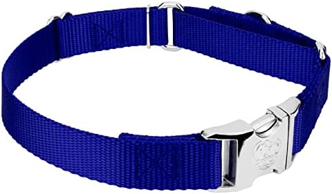 Country Brook Petz - Martingale Dog Collar - Heavy Duty Nylon Adjustable Martingale Dog Collar with Metal Buckle for Small Medium Large Breeds - 30+ Color Options (1 Inch, Large, Bright Royal Blue)