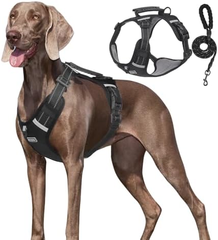 Dog Harness No Pull Adjustable Reflective,for Medium and Large Small Dog with Leash 59.06in (Black, XS)