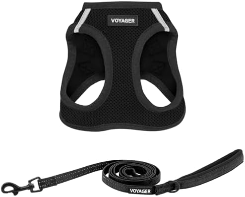 Best Pet Supplies Voyager Step-in Air All Weather Mesh Harness and Reflective Dog 5 ft Leash Combo with Neoprene Handle, for Small, Medium and Large Breed Puppies - Black, XL
