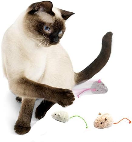 Cat Toys Set, Cat Retractable Teaser Wand, Catnip Fish, Interactive Cat Feather Toy, Mylar Crincle Balls, Two Cotton Mice, Four Fluffy Mouse