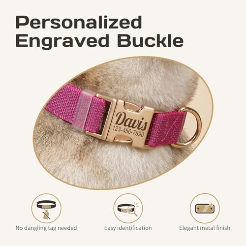 Custom Dog Collar with Name and Phone Number