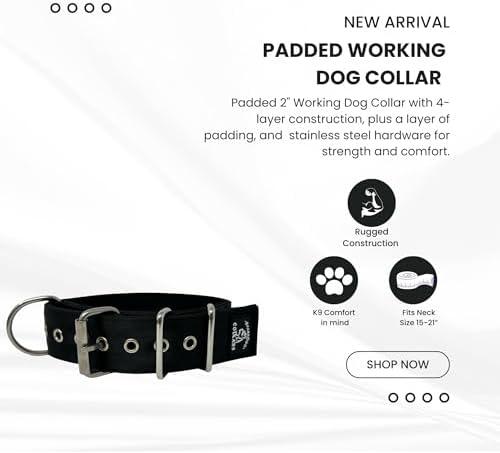 SparkDog 2" Padded Working Dog Collar (Basic Blank, 2" Padded (16-21" Neck)