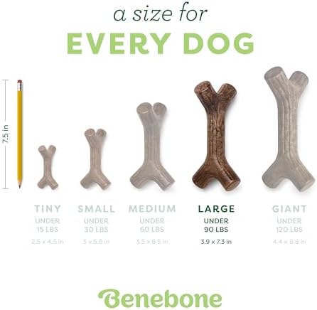 Benebone Maplestick Real Wood Durable Dog Chew Toy, Made in USA, Large