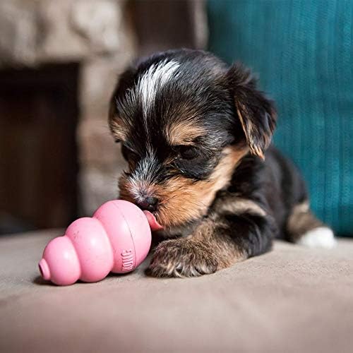 KONG Puppy, Natural Rubber Teething Chew Toy, for XS Puppies, Blue