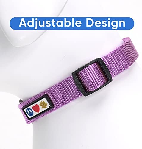 Pawtitas Solid Color Purple Orchid Puppy or Dog Collar, Small