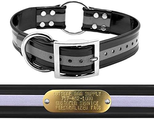 Reflective D & Center Ring 1.5" Dog Collar w Custom Nametag, Black