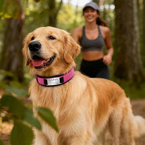 Reflective Personalized Dog Collar with Name Tag，Turquoise：M