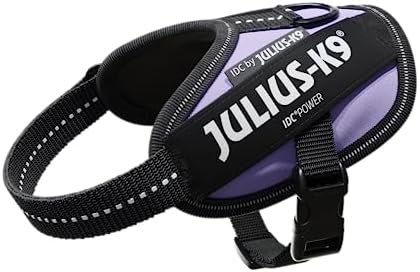 Julius-K9, 16IDC-PR-B2, IDC Powerharness, Dog Harness, Size: Baby 2, Purple