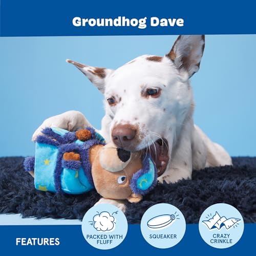 BarkBox Groundhog Dave Dog Toy - Toy for Small to Medium Dogs