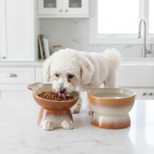 Nihow Dog Food & Water Bowls: Elevated Ceramic Bowls for Medium/Small Dog