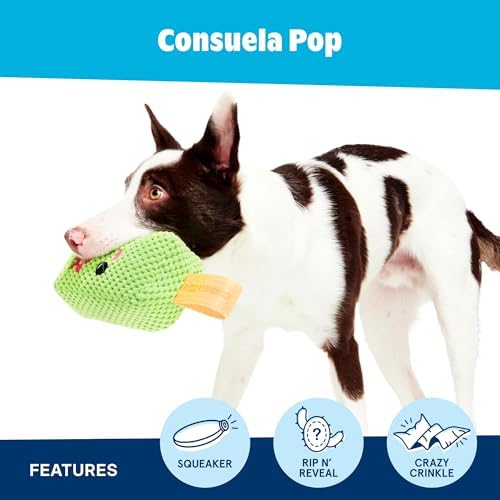 BarkBox BARK Consuela the Cactus Pop - 2-in-1 - Large
