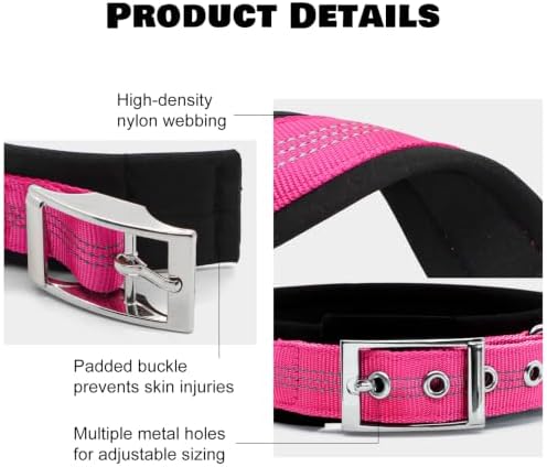 Personalized Nylon Dog Collar with Name Tag (Coral Pink, M)