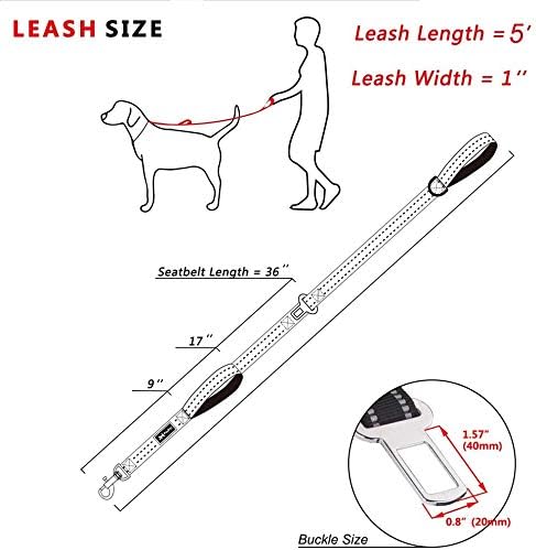 PoyPet 5 Feet Dog Leash with 2 Cushioned Handles (Black)