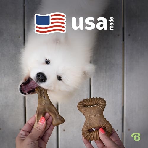 Benebone 2-Pack Wishbone/Dental Durable Dog Chew Toys, Real Bacon, Large