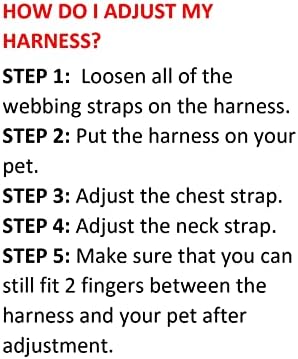 Best Pet Supplies Voyager Step-in Air All Weather Mesh Harness and Reflective Dog 5ft Leash Combo with Neoprene Handle, for Small, Medium and Large Breed Puppies - Pink, XX-Small