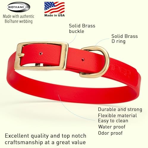 Viper Biothane Heavy Duty Waterproof Dog Collar Strong Coated Nylon Webbing w/Solid Brass Hardware Odor-Proof Easy to Clean High Performance Fits Small Medium or Large Dogs, Cherry Red