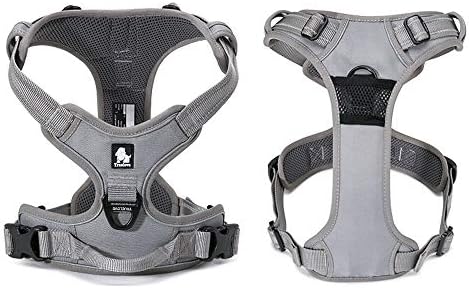 TRUE LOVE Adjustable No-Pull Dog Harness Reflective Pup Vest Harnesses Comfortable Control Brilliant Colors Truelove TLH5651(Gray,S)