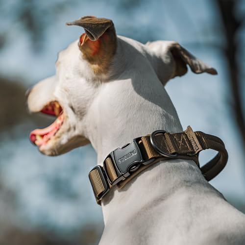 OneTigris Tough Tactical Dog Collar for Small Dogs with Handle Green S