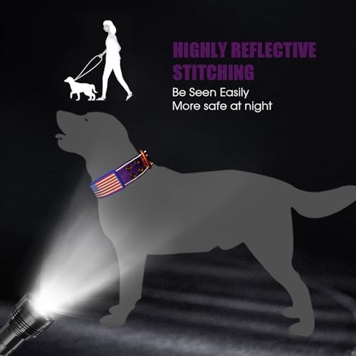 Heavy Duty Dog Collar for Medium Large Dogs,Purple,Medium