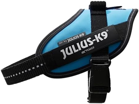 Julius-K9, 16IDC-AM-M, IDC Powerharness, Dog Harness, Size: Mini, Aquamarine