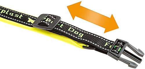 Ferplast Dog Collar Sport Dog, Large Reflective Nylon Collar with Soft Padding, Pet Name Tag, Size: 2.5 cm (35-45 cm), Yellow