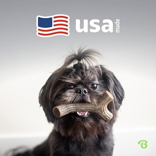 Benebone Small 4-Pack Dog Toys for Aggressive Chewers – Under 30 lbs