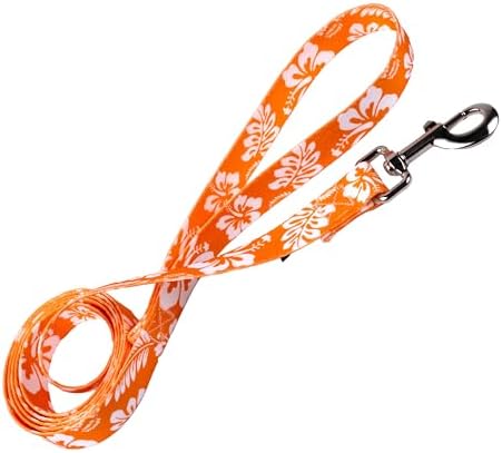 Country Brook Petz - Orange Hawaiian Everyday Dog Leash - Summer Breeze Collection Featuring Sunny Designs (4 Foot, 1/2 Inch Wide)
